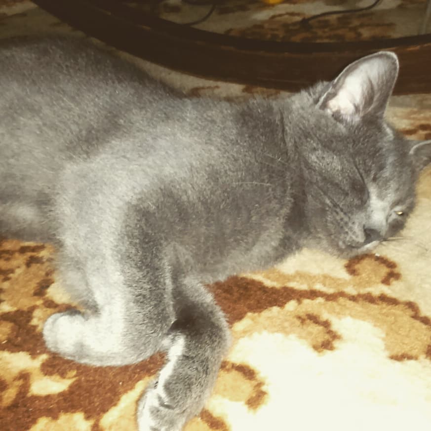 yaki_as в LOOKY. . Почему женщины не ро...