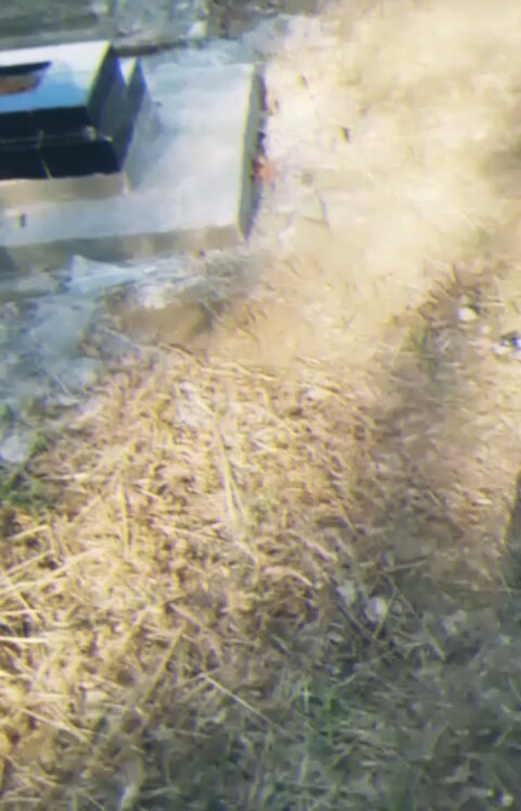 ncvalerin в LOOKY. . Genap 1 Tahunmu meni...