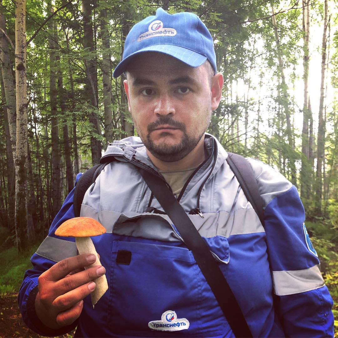 grigoryev2014 в LOOKY. #командировка,#север,#грибы. Опа, грибочек 🍄 #ко...