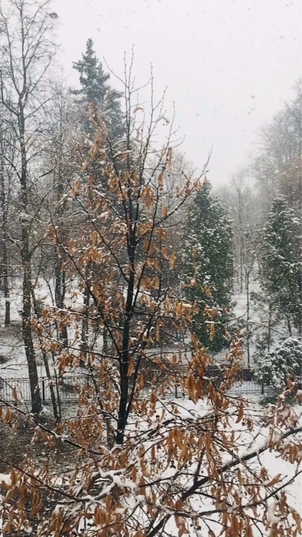 am.semin в LOOKY. . Track: Pensees - Ser...