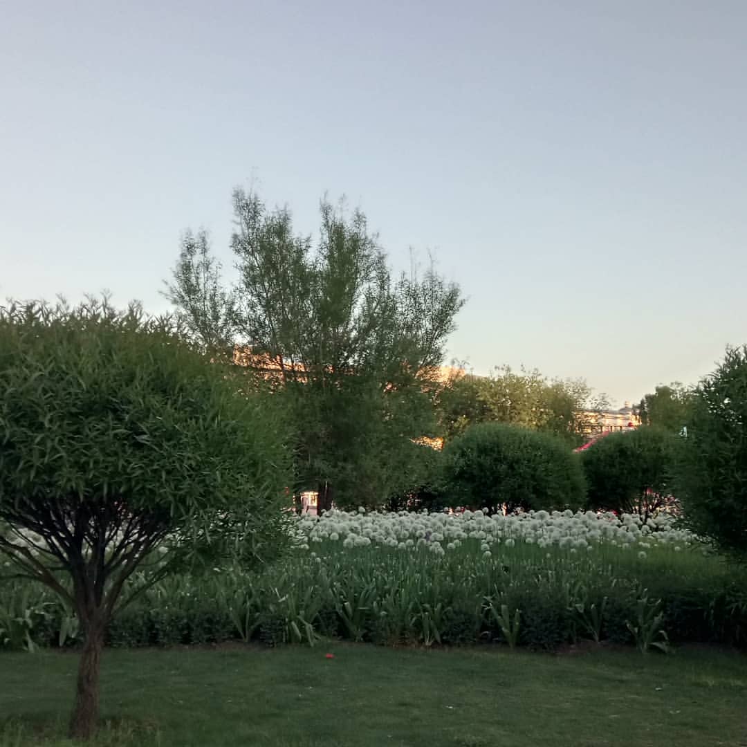 jkj_z in LOOKY. . Субботняя прогулка в...
