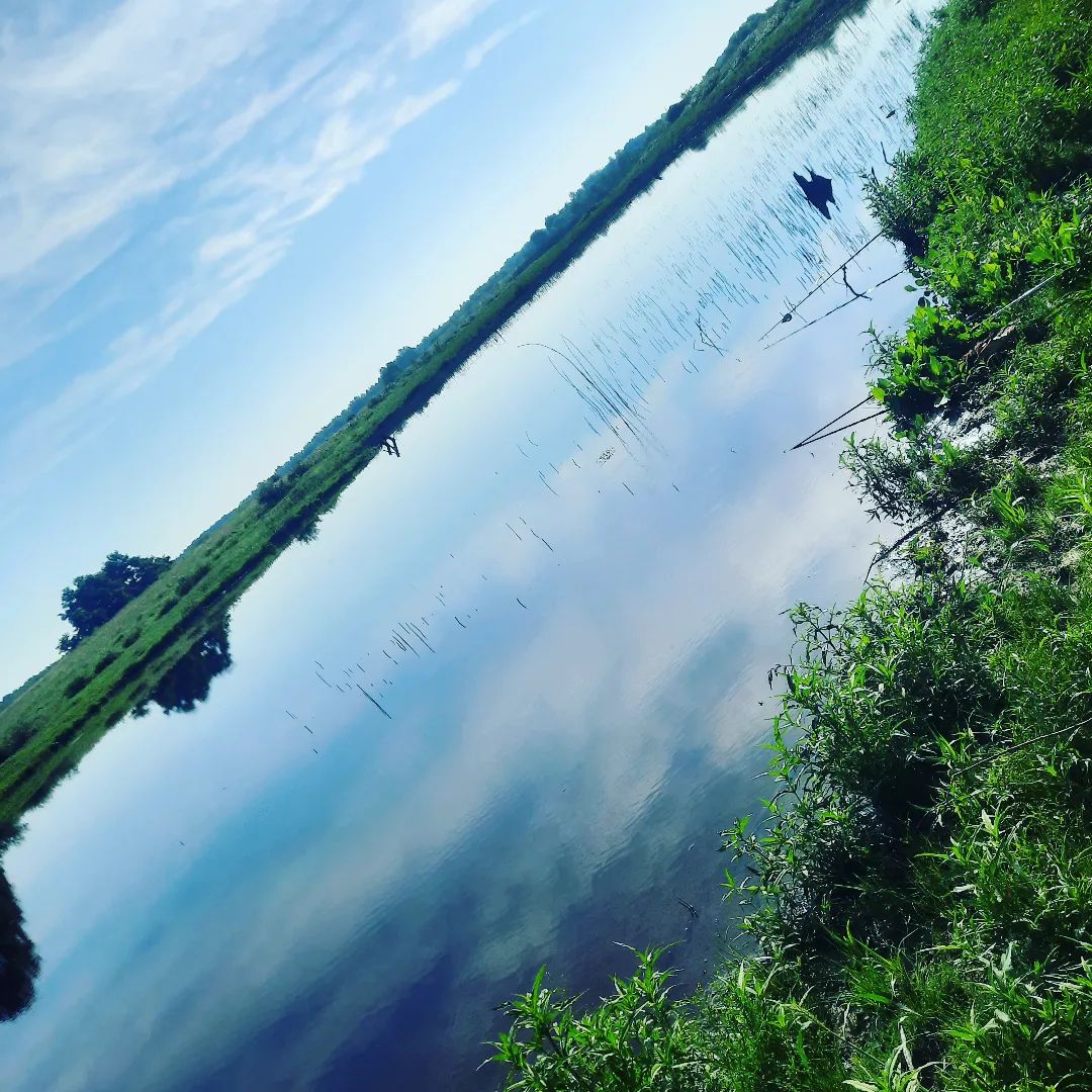 pacified9 в LOOKY. . null