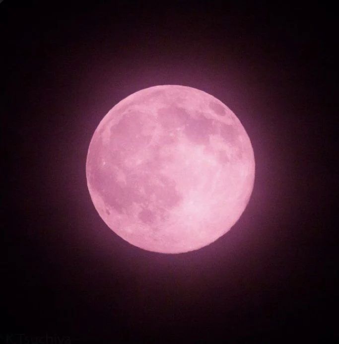 pinkunicorncakesparkles в LOOKY. . ❤️‍🩹❤️‍🩹.