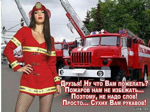 allaliovkin в LOOKY. . null
