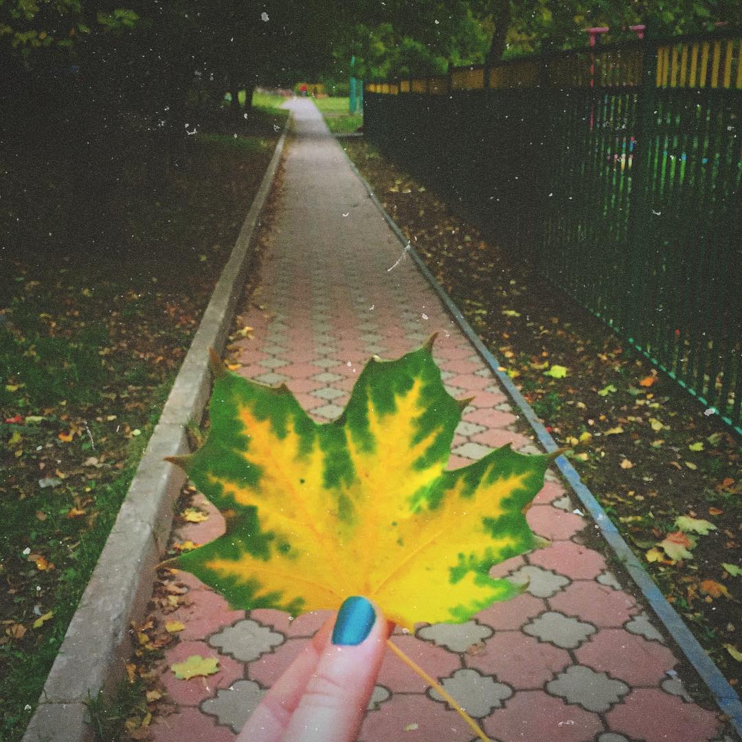 katerina_yakubovaa в LOOKY. . 9 октября 🍁🍂