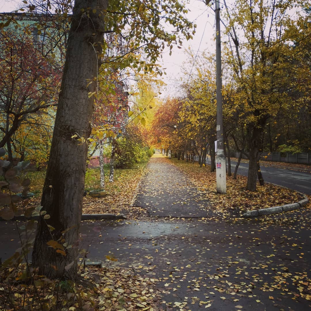fefelovmaxim в LOOKY. #лес,#природа,#река. Никаких пафосных под...
