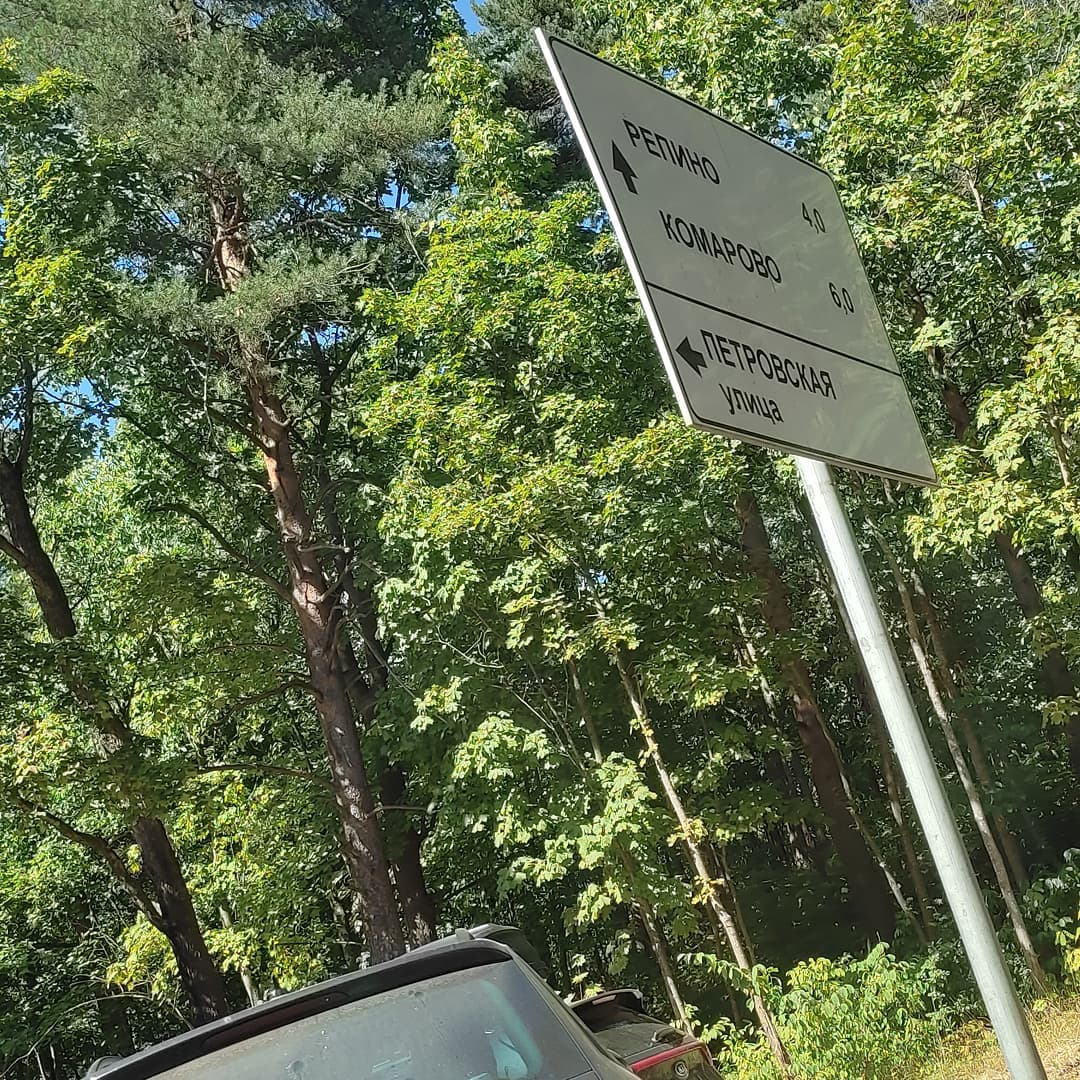 skazo4naa9 в LOOKY. . А Я УЕДУ В КОМАРОВО
