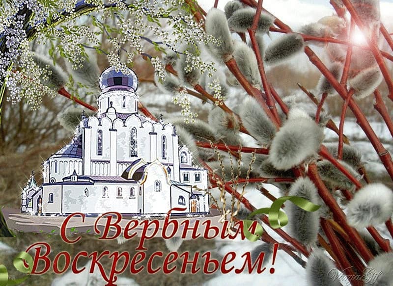 allaliovkin в LOOKY. . null