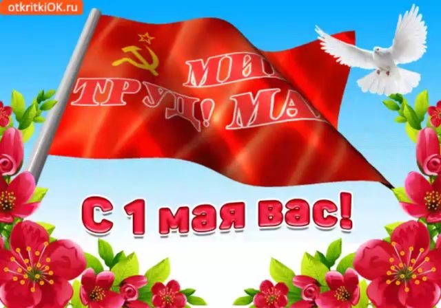allaliovkin в LOOKY. . null