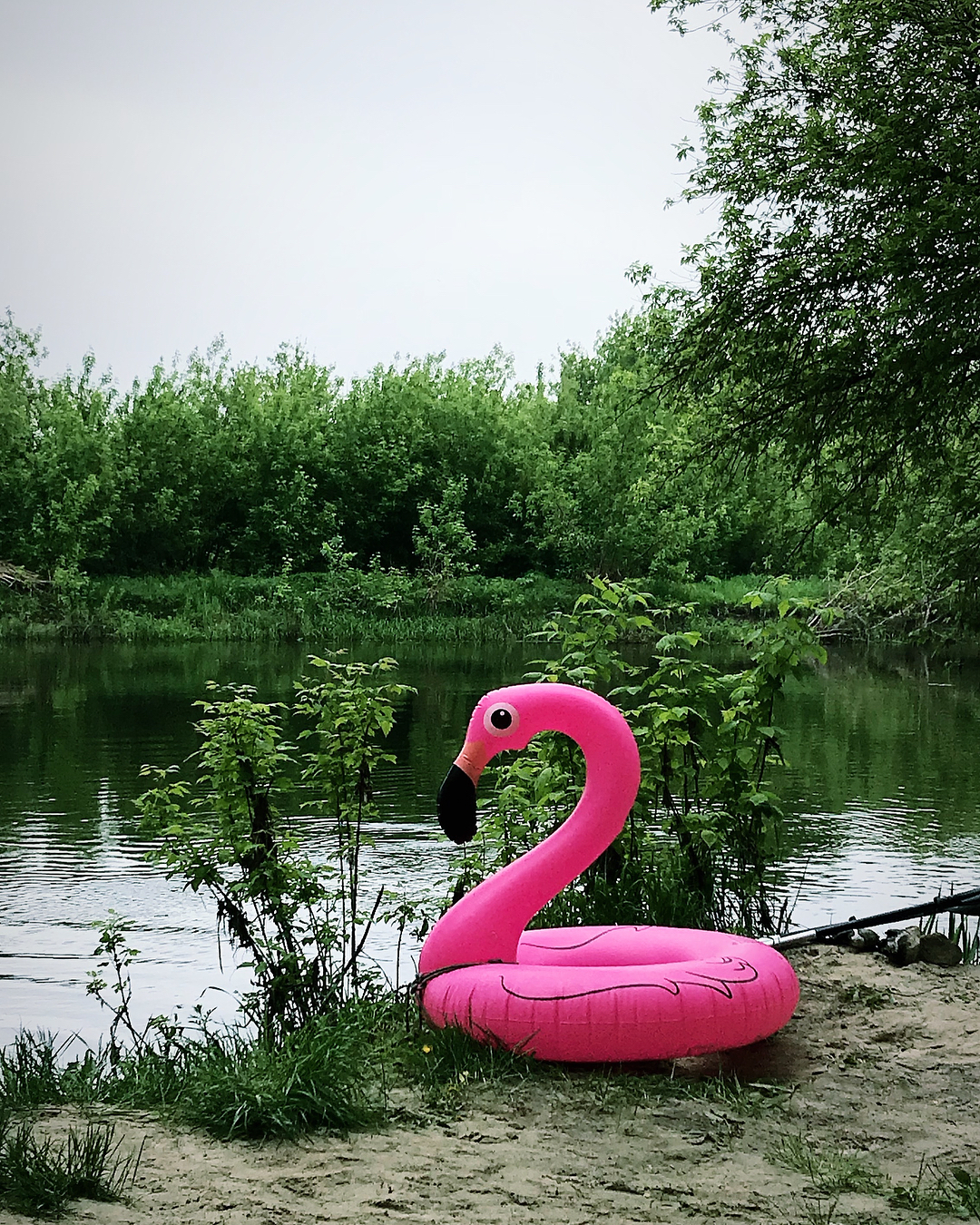 Липецк, сплав по реке Воронеж 🚣🏻‍♀️💪🏻