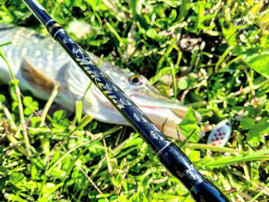 _k4k_angler в LOOKY — фото 5