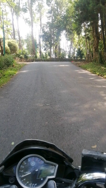 Sabillah Rohman в LOOKY. #pinetrees,#jogja,#vixiontouring,#goodvibes. Stay to lonely, enjo...