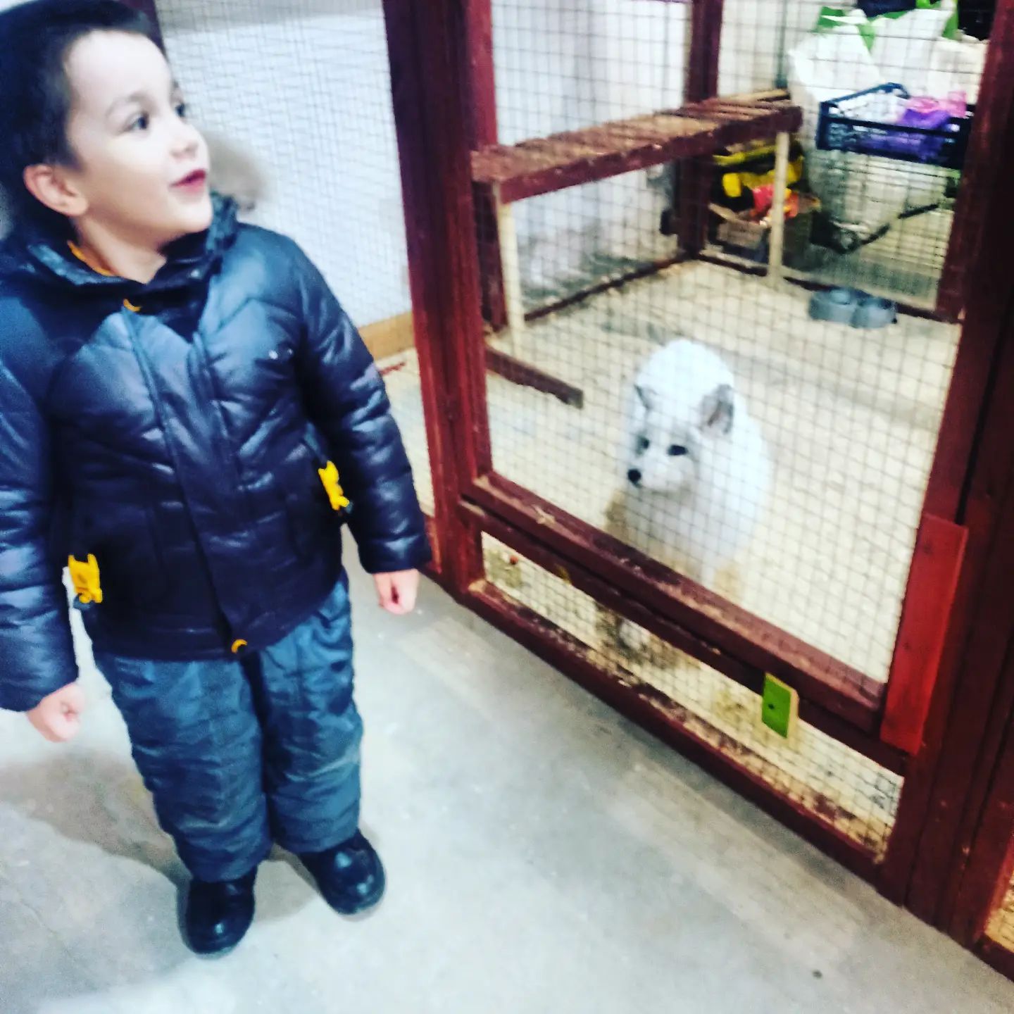 kyprienko_fl в LOOKY. #тактильныйзоопарк,#Реяица,#глобал. #тактильныйзоопарк#Р...
