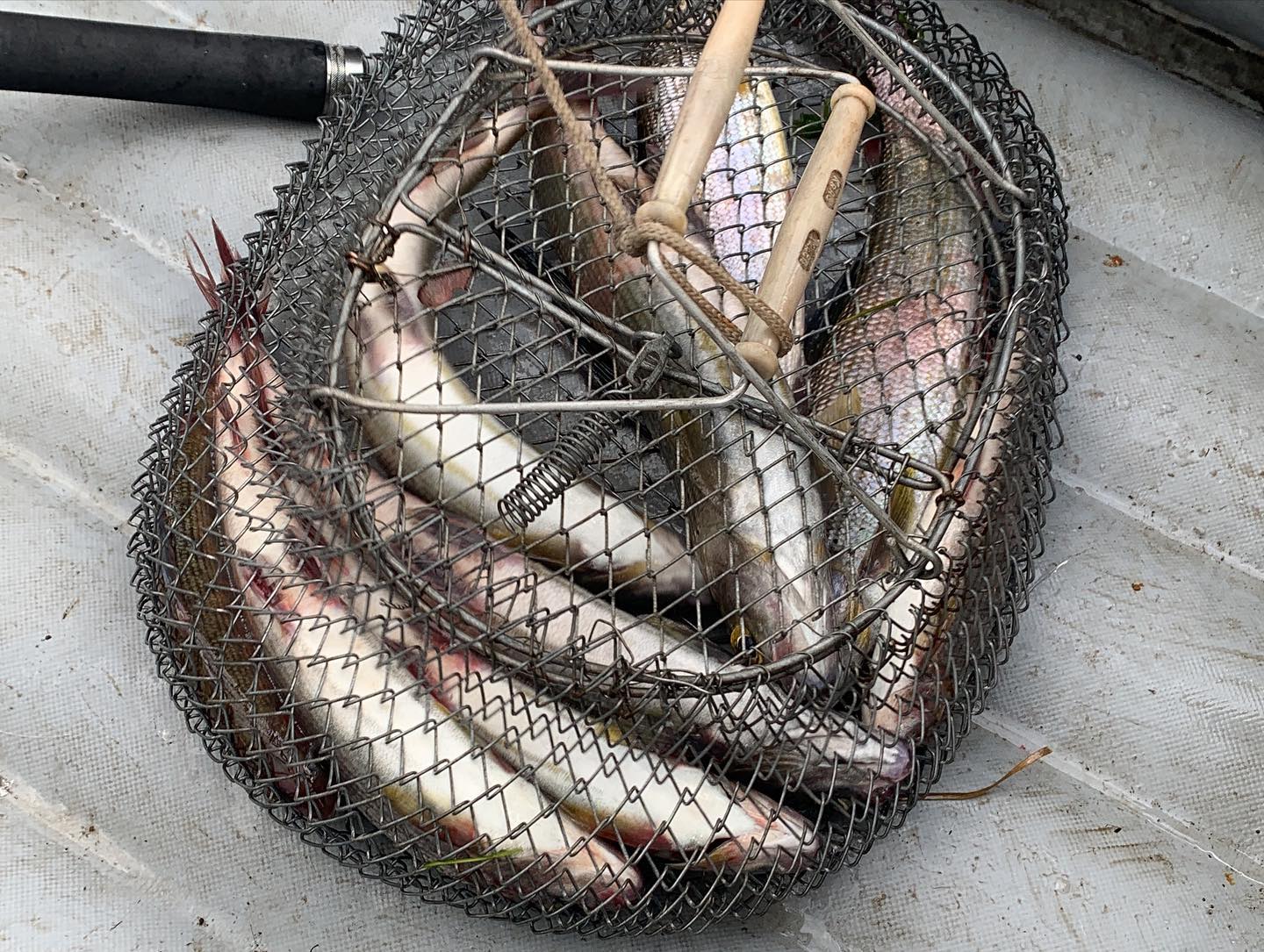 saddam2248 в LOOKY — фото 5