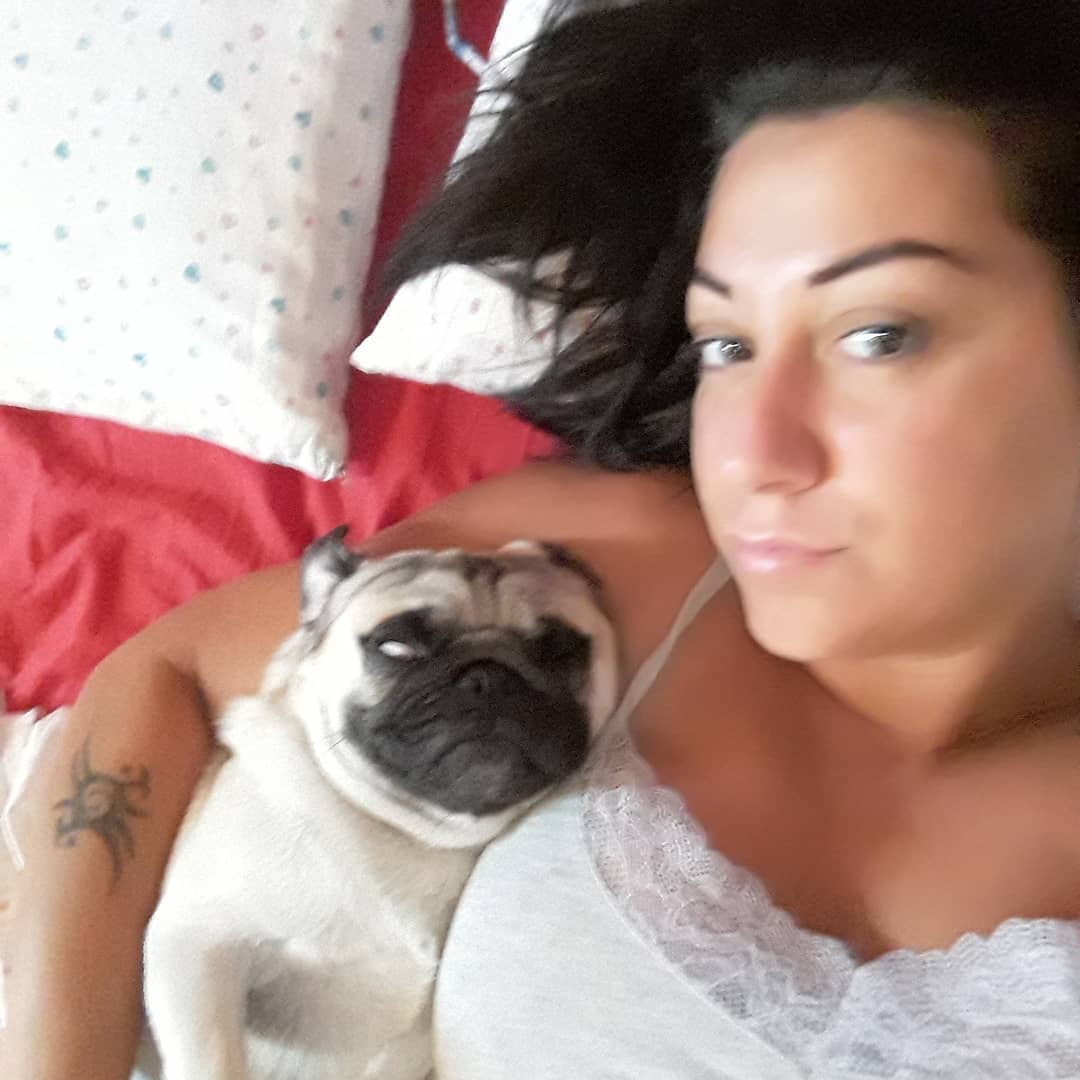 rosacusato в LOOKY. #buongiorno,#nofilter,#dogsleepy,#puglove,#istaanimal,#picoftheday,#goodmorning,#fridaymood. @nicolacusato #buong...