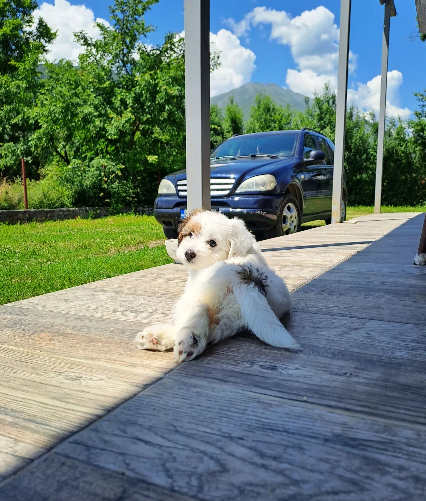 _milena_993 в LOOKY. . 🐶💓