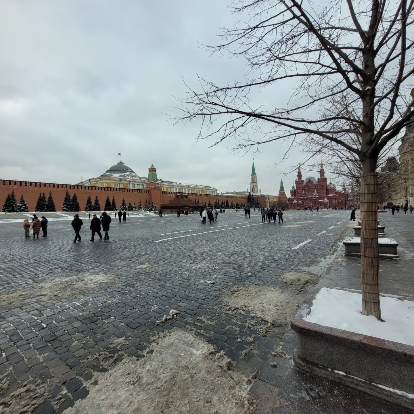 sugar_matego_cat в LOOKY. . Я езжу в Москву с 8 ...