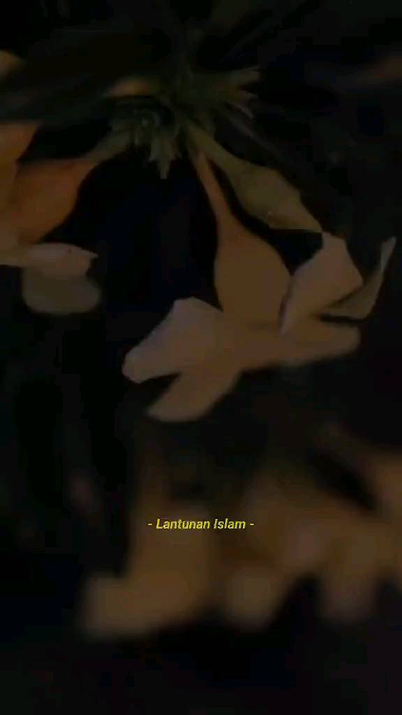 chand_095 in LOOKY. . null
