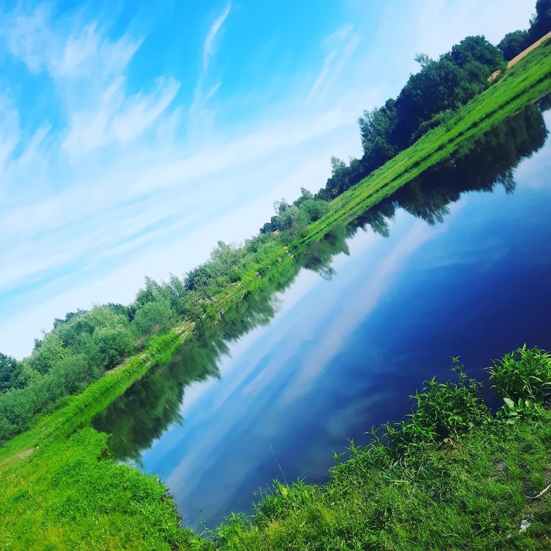 pacified9 в LOOKY. . null
