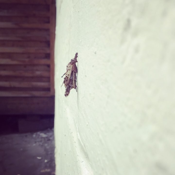 aivengo_r в LOOKY. #стройка,#самовывоз,#dilevery,#гусеница,#bbc,#discovery,#макромир,#трудоголик. Стройматериалы. Само...