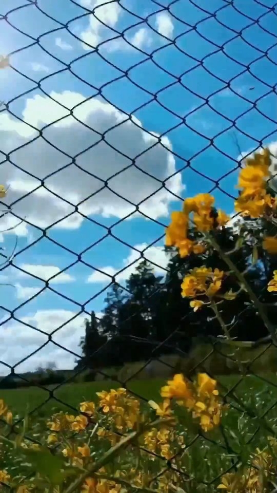 zaoualisara in LOOKY. . اما اللحظة الي احنا ...