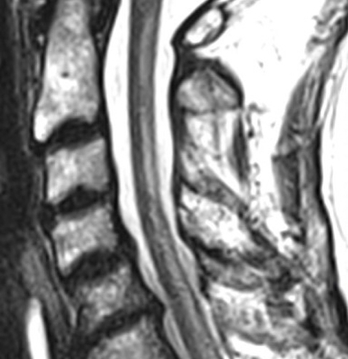 russianradiology в LOOKY — фото 4