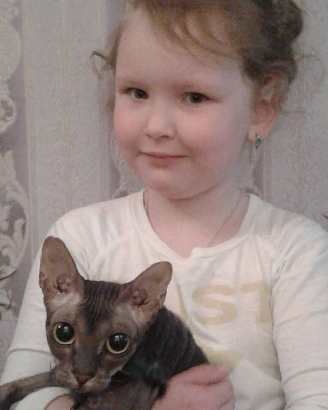 alenagavrilova14 в LOOKY. #доченька,#гасясфинкс,#сфинксомания. Нася и Гася #доченьк...