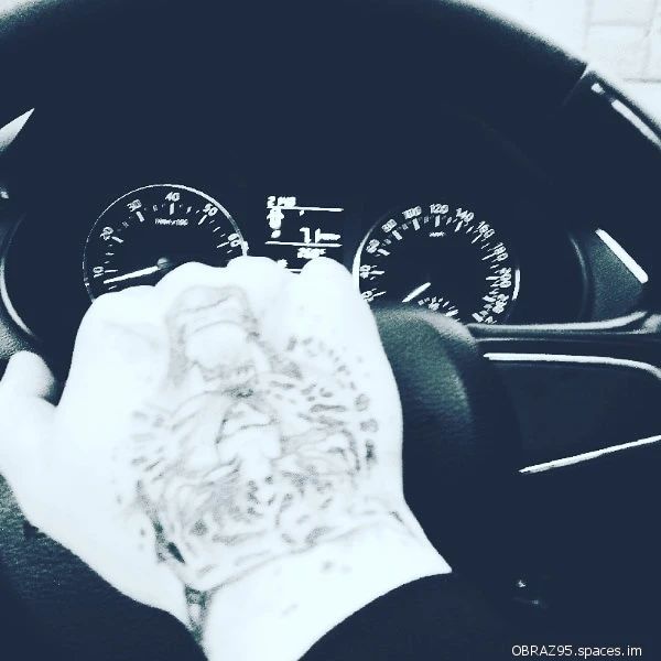 obraz_95 в LOOKY — 😎🤙