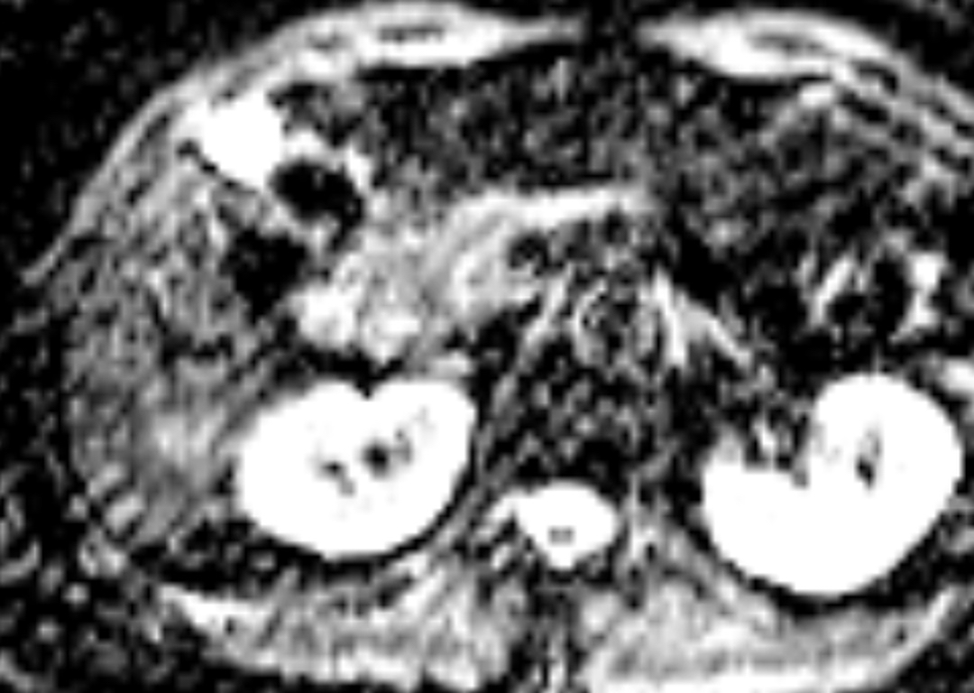 russianradiology в LOOKY — фото 7