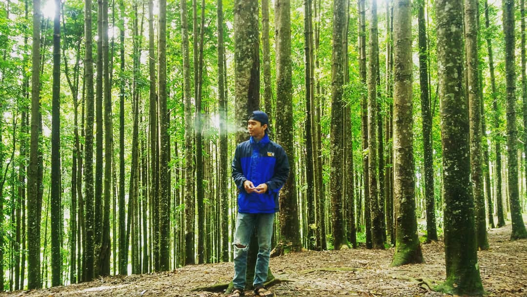 mfh.___ в LOOKY. . Pergilah kehutan Dim...