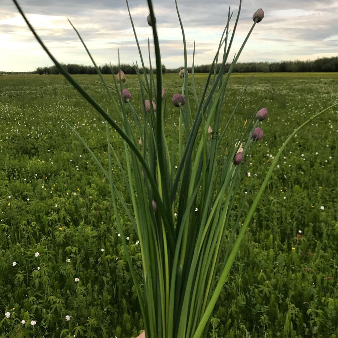 mrs.duakonova в LOOKY — фото 5