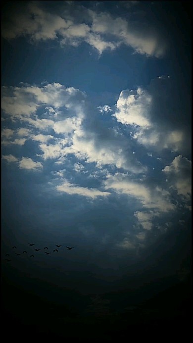 3e_6ra в LOOKY. . null