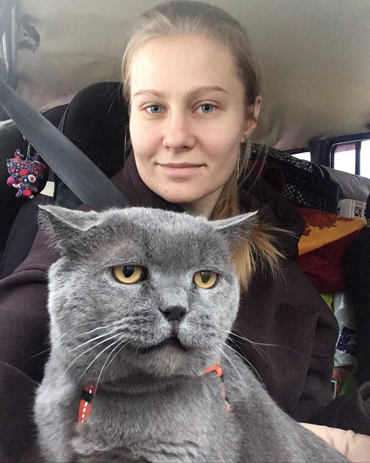 kkatrin1201 в LOOKY. . null