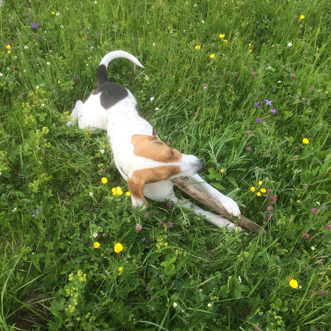 bonzikk в LOOKY — фото 5