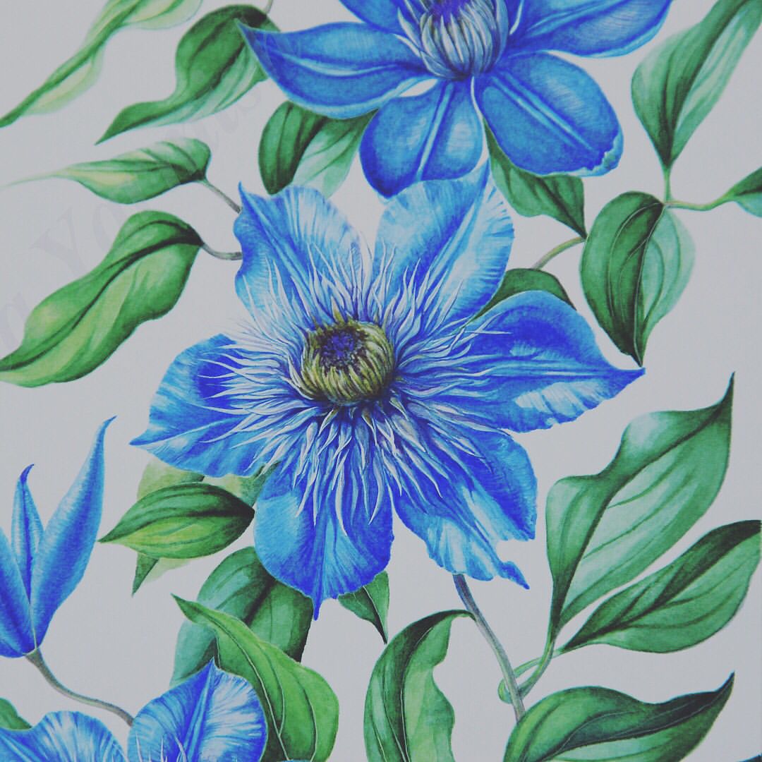 mariayarmish_botanicalart в LOOKY — фото 4