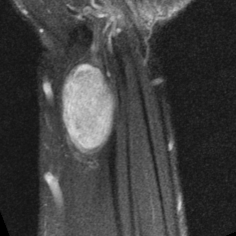 russianradiology в LOOKY — фото 3