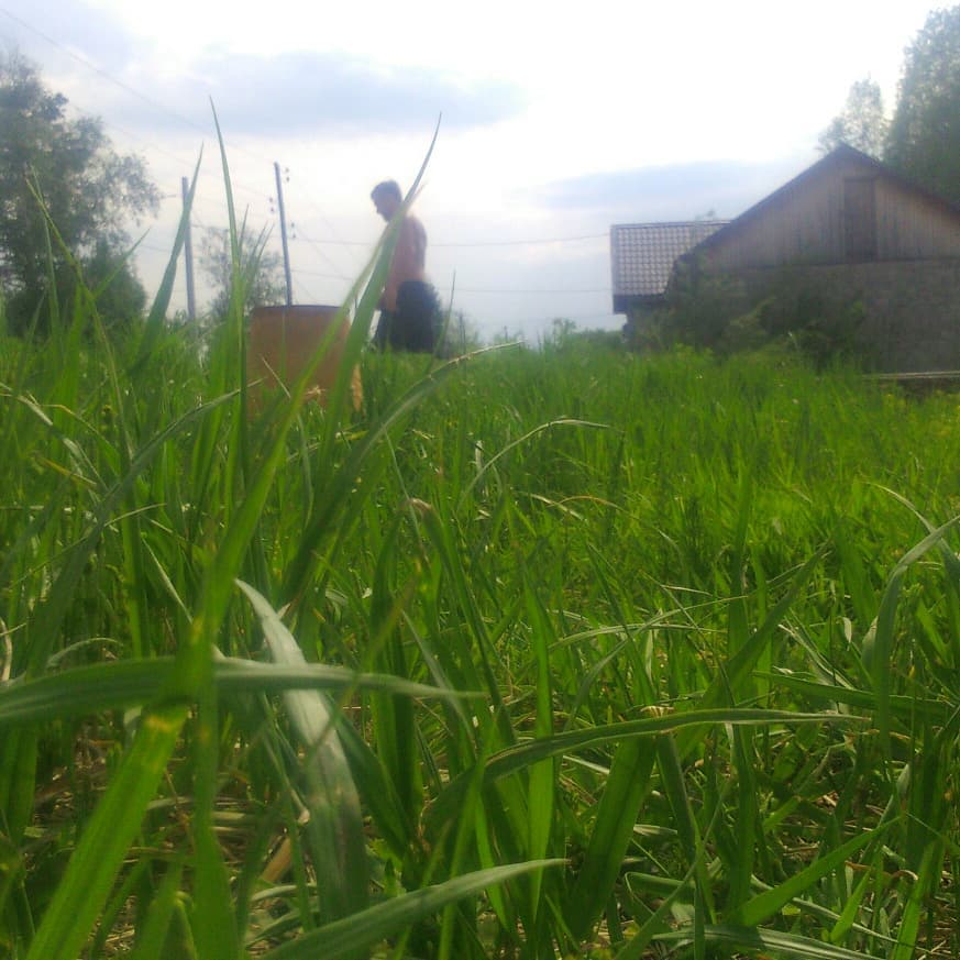 yaki_as в LOOKY. #хорошовдерёвнелетом. #хорошовдерёвнелетом