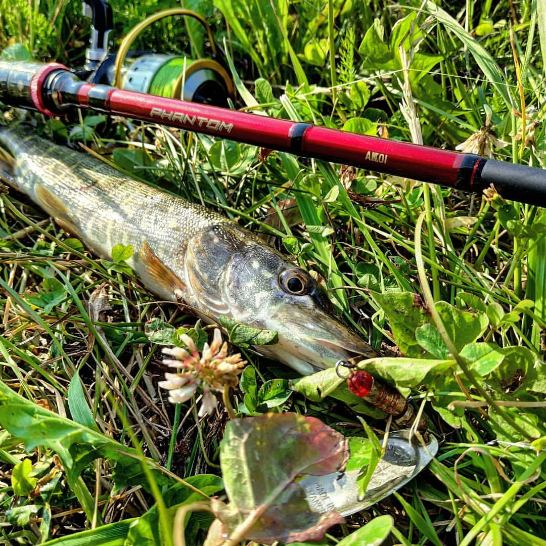 _k4k_angler в LOOKY — фото 4