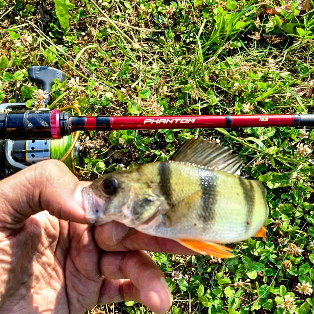 _k4k_angler в LOOKY — фото 3