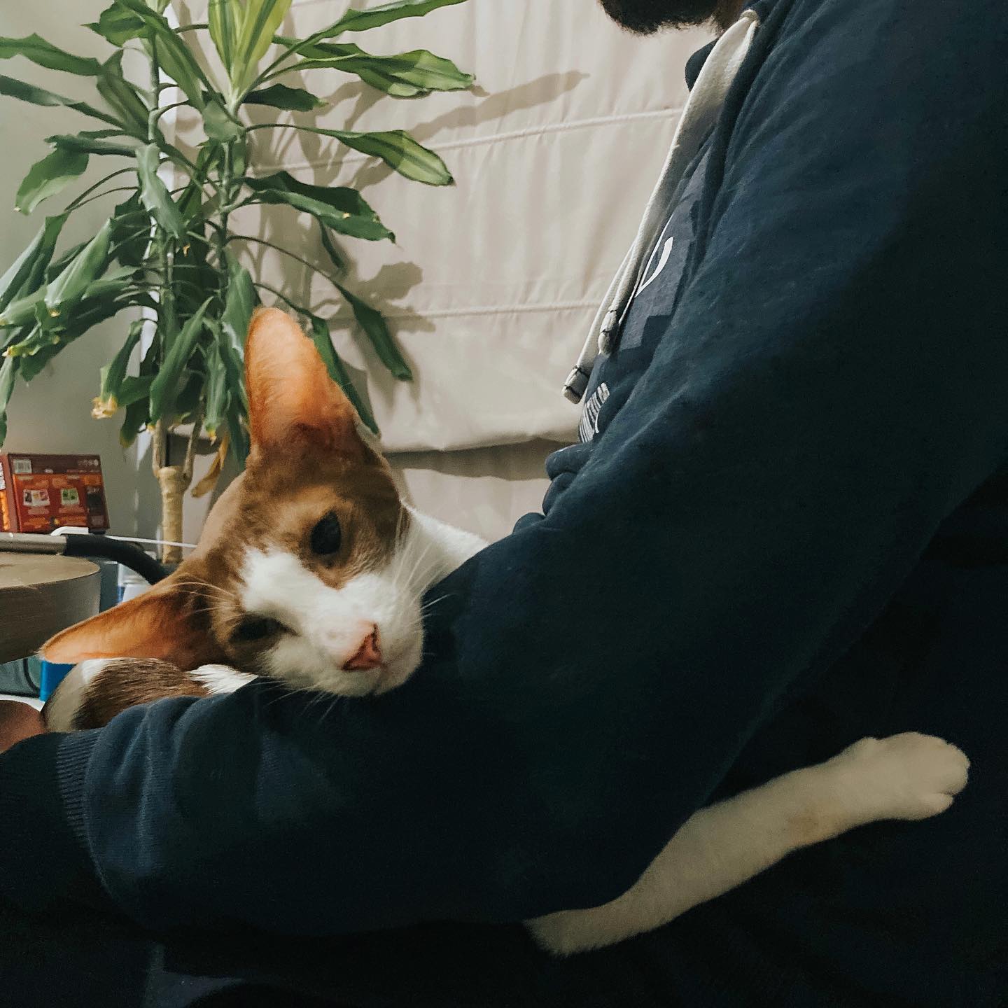 molchanova_l в LOOKY. . Шлюндра 🧡