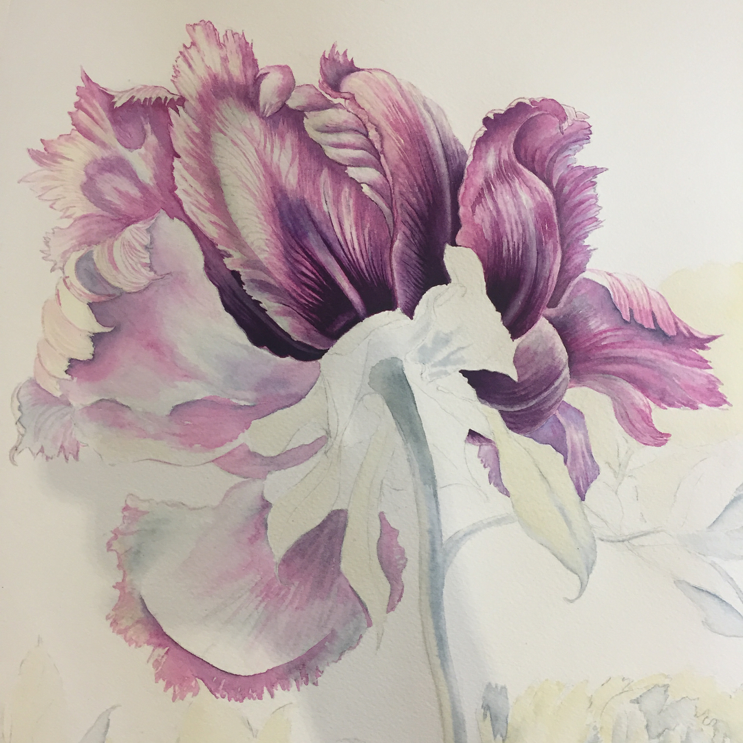 mariayarmish_botanicalart в LOOKY — фото 4