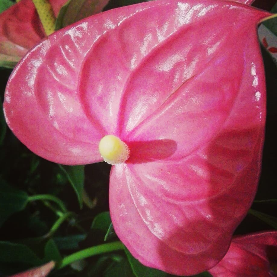 iren_svm в LOOKY — фото 2