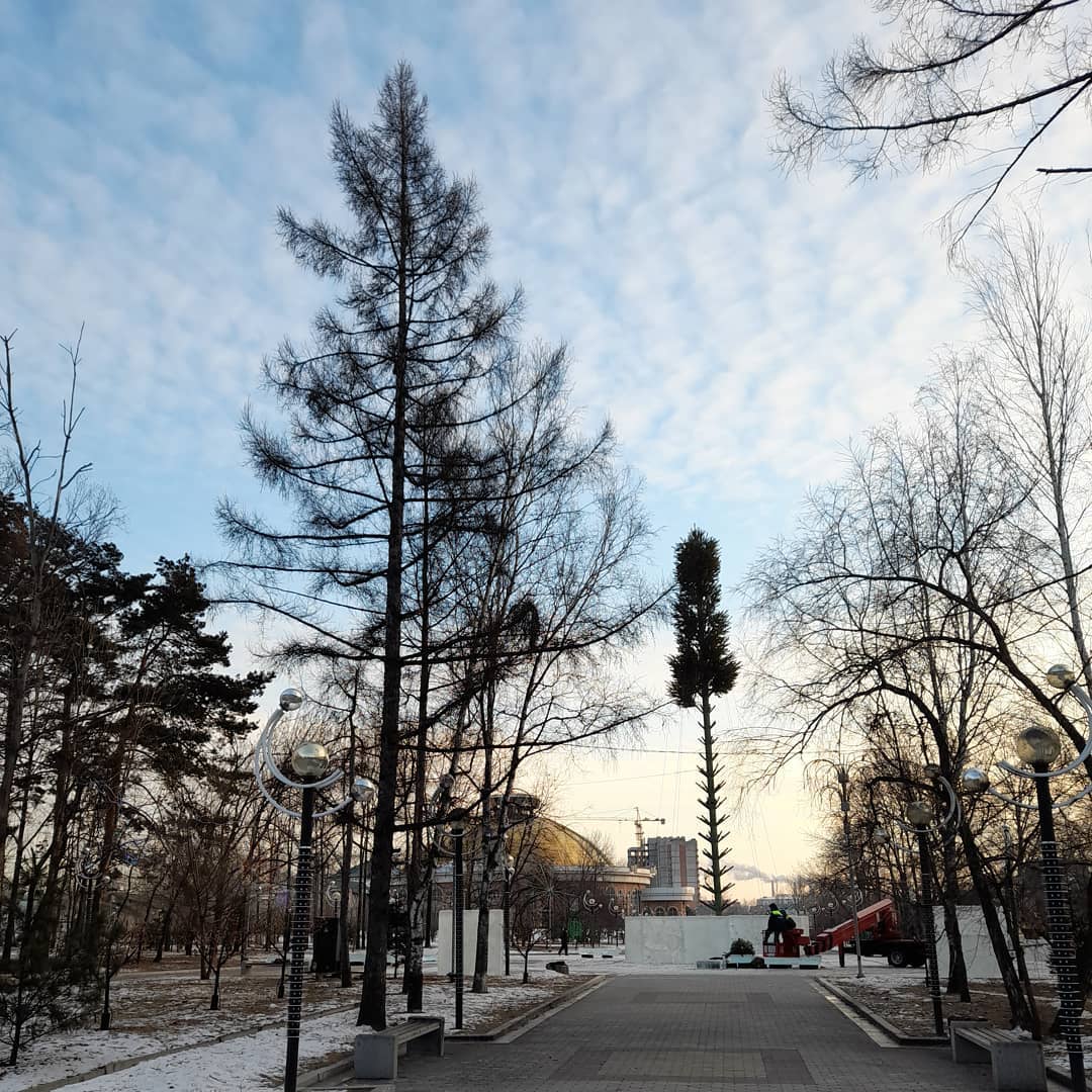 yaki_as в LOOKY. #впроцессе. #впроцессе