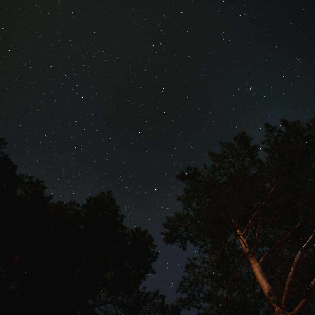 chikgg в LOOKY — #belarus #photography #life #space #forest #freedom #asino #