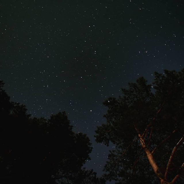 chikgg в LOOKY. #belarus,#photography,#life,#space,#forest,#freedom,#asino,#night. #belarus #photograph...