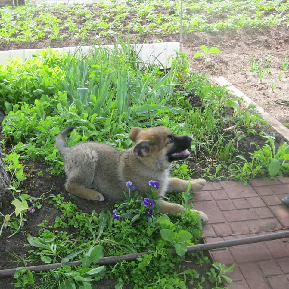ieugene.mat в LOOKY — фото 5