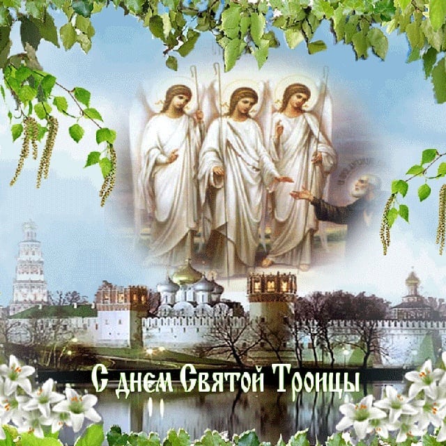 allaliovkin в LOOKY. . null