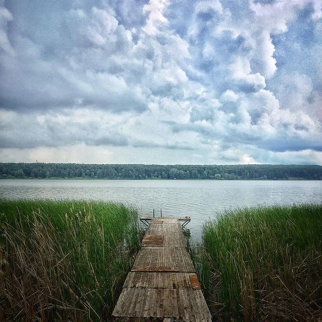 aivengo_r в LOOKY. #горизонт,#море,#трап,#камыш. #горизонт #море #тра...