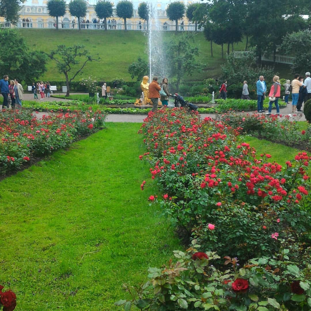 galchonokxyz in LOOKY. . Племяша, вывел тетку...