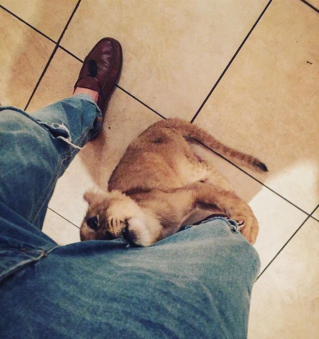 mazashokov26 в LOOKY. #mood#shmood. #mood#shmood
